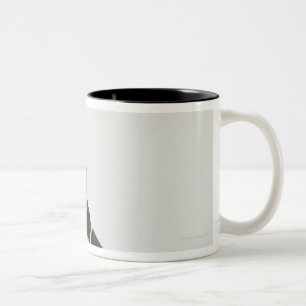 Hund, der mit einer Tiara auf Kopf sitzt Zweifarbige Tasse