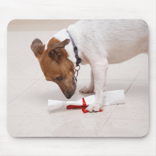 Hund, der nach einem Diplom sucht Mousepad (Vorne)