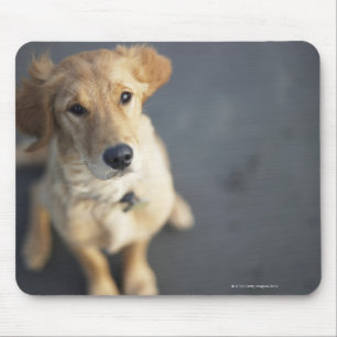 Hund, der oben, Nahaufnahme schaut Mousepad