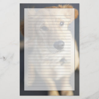 Hund, der oben schaut briefpapier