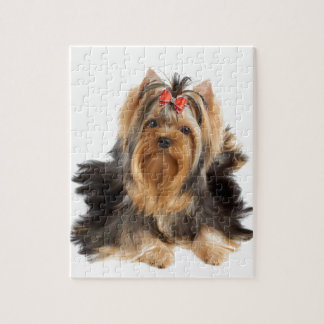 Hund der Showklasse Puzzle
