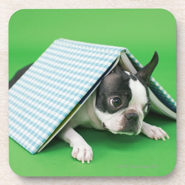 Hund, der unter Buch liegt Untersetzer (Vorderseite)