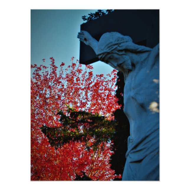 "Hund des Himmels" Fotodruck (Vorne)