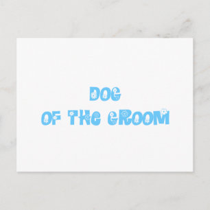 Hund des Raumes Postkarte