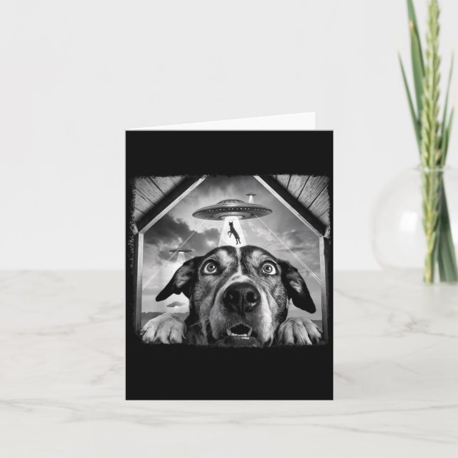Hund entführt karte (Vorderseite)