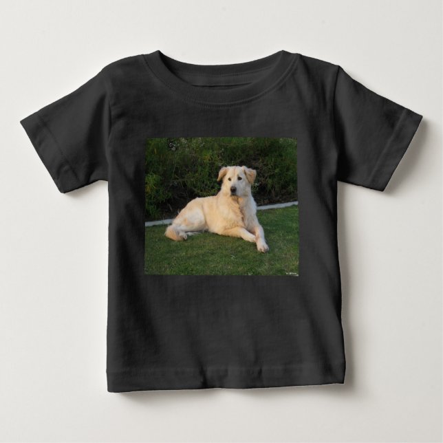 Hund entspannen baby t-shirt (Vorderseite)