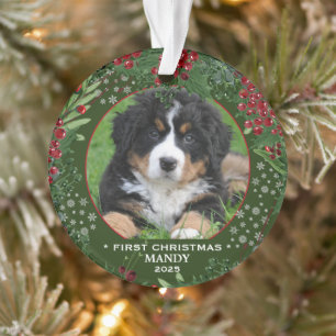 Hund Erste Weihnachtsschneeflocken Foto Ornament