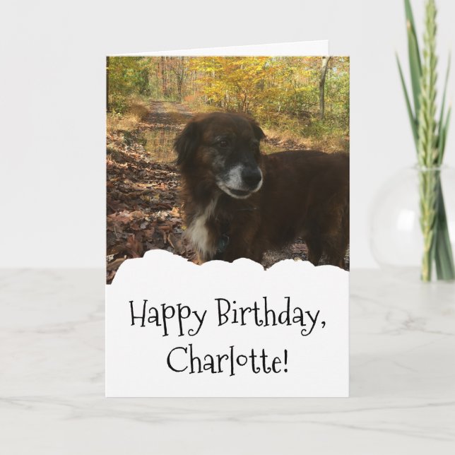 Hund Foto Custom Personalisiert Geburtstag Karte (Vorderseite)
