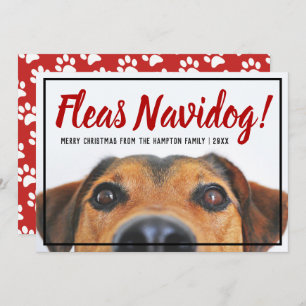 Hund Foto Funny Feliz Navidad Weihnachtsmann Feiertagskarte