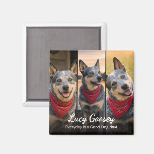 Hund Foto Name Süße Aufschrift Magnet