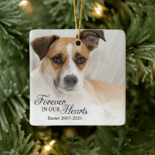 Hund für immer in unseren Herzen Foto Keramikornament