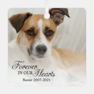 Hund für immer in unseren Herzen Foto Ornament Aus Metall