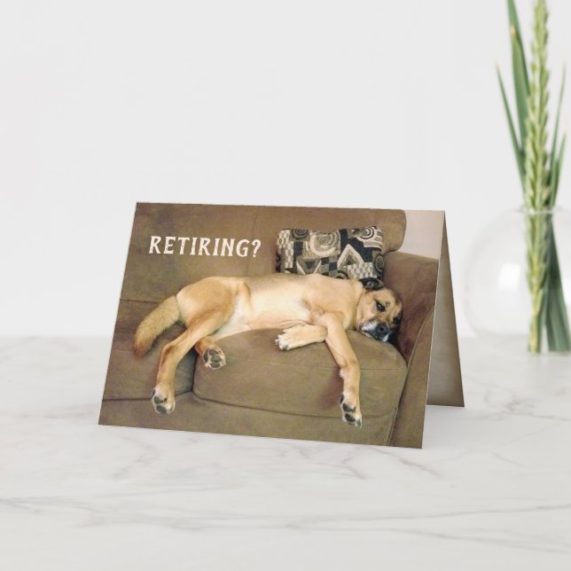 Hund für Rentenzahlungen auf Couch Karte (Vorderseite)