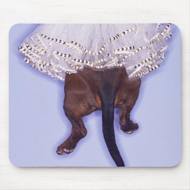 Hund gekleidet mousepad (Vorne)