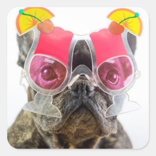 Hund Getty Bild- mit Cocktail-Gläsern Quadratischer Aufkleber
