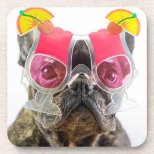 Hund Getty Bild- mit Cocktail-Gläsern Untersetzer