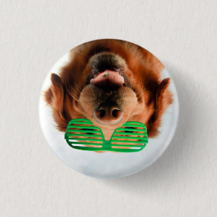 Hund Getty Bild- mit Gläsern Button