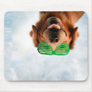 Hund Getty Bild- mit Gläsern Mousepad