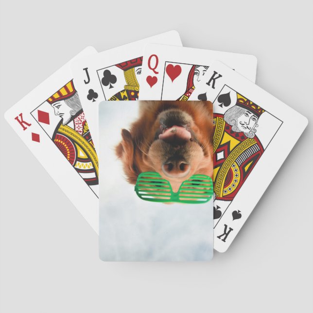 Hund Getty Bild-| mit Gläsern Spielkarten (Rückseite)