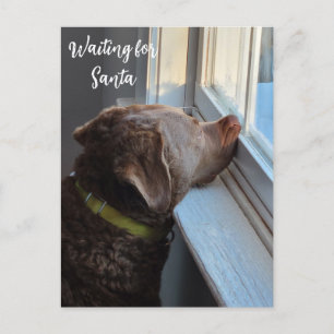 Hund Gewartet für Santa Feiertagspostkarte