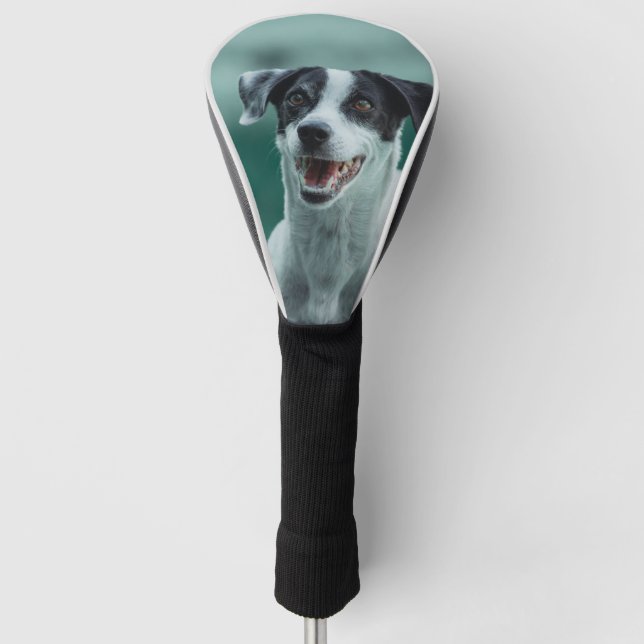Hund Golf Headcover (Vorderseite)