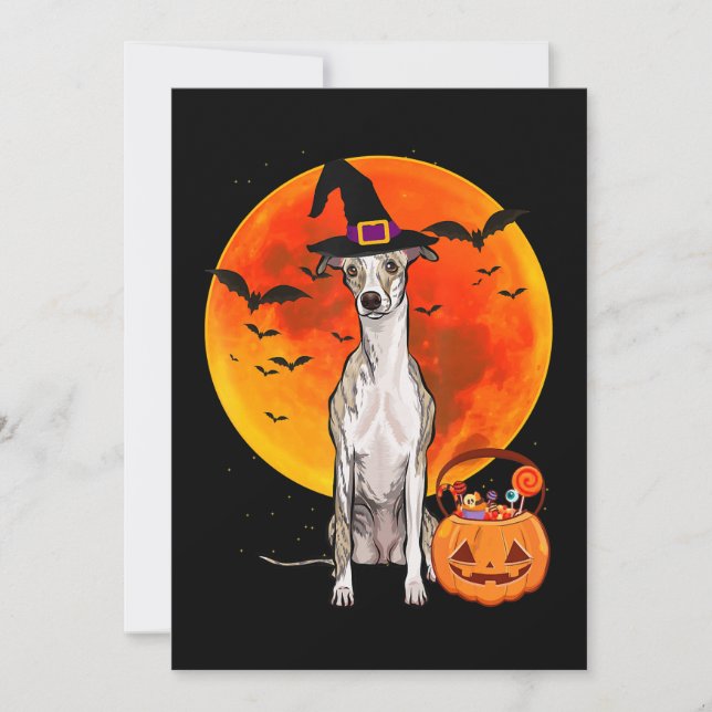 Hund Halloween Whippet Kürbislaterne Pumpkin Feiertagskarte (Vorderseite)