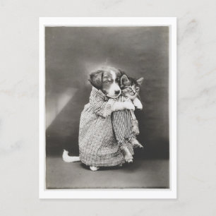 Hund hält Katze und trägt Kleidung Vintage Kuriosi Postkarte