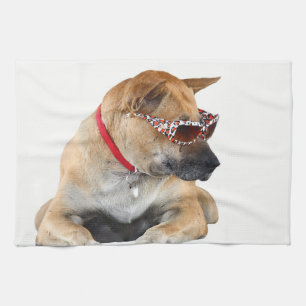 Hund Handtuch