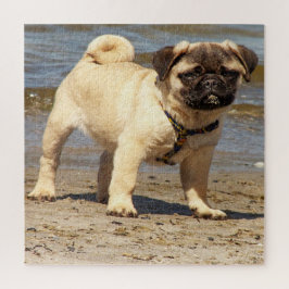 Hund, Haustier, niedlich, Tier, Rasse, Rätsel, Wel Puzzle