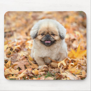 Hund, Herbst, Sydney Herbst Mousepad