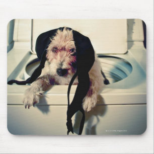 Hund hilft beim Waschen Mousepad