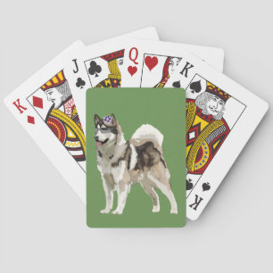 Hund, Husky Hund Spielkarten