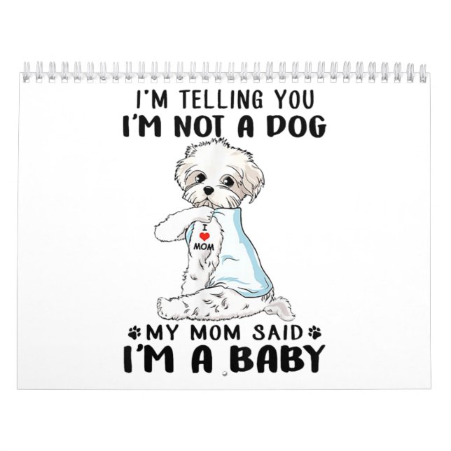 Hund| Ich sage Ihnen, ich bin kein maltesischer Hu Kalender (Titelbild)