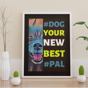 #Hund, Ihr neuer bester #Freund ...Keeshond Poster