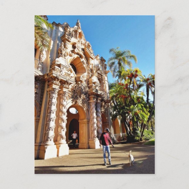 Hund im Balboa Park Postkarte (Vorderseite)