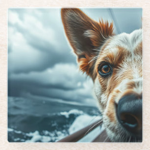 Hund im Bett eines Wohnmobils Glasuntersetzer