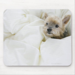 Hund im Bett Mousepad