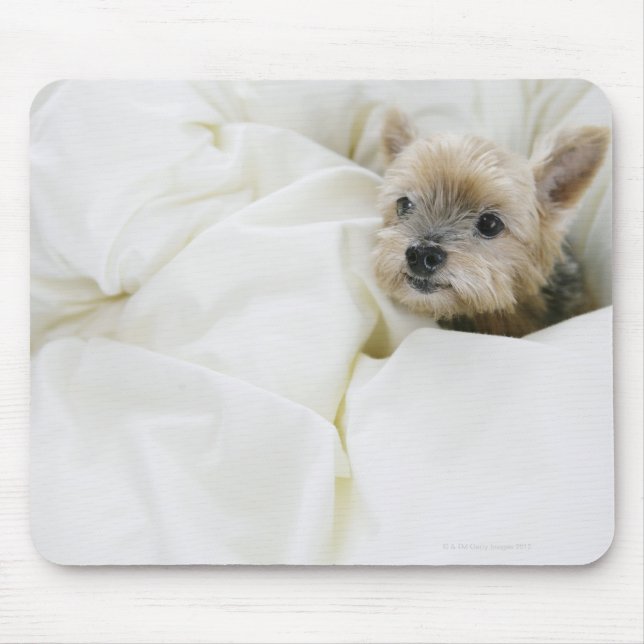 Hund im Bett Mousepad (Vorne)