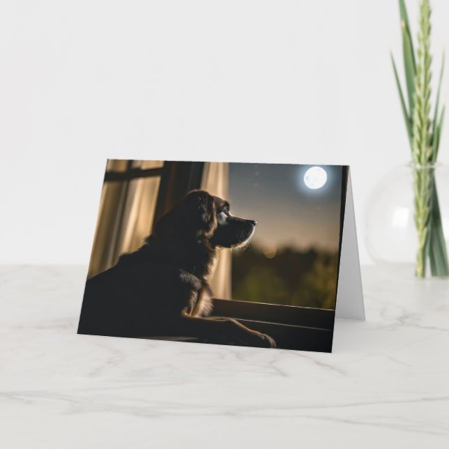 Hund im Fenster "Mondlicht" Karte (Vorderseite)
