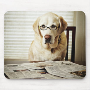 Hund im Morgenprogramm Mousepad
