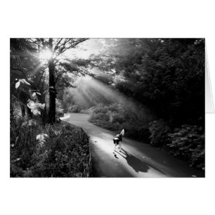 Hund im Morgensonnenlicht