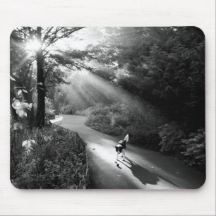 Hund im Morgensonnenlicht Mousepad