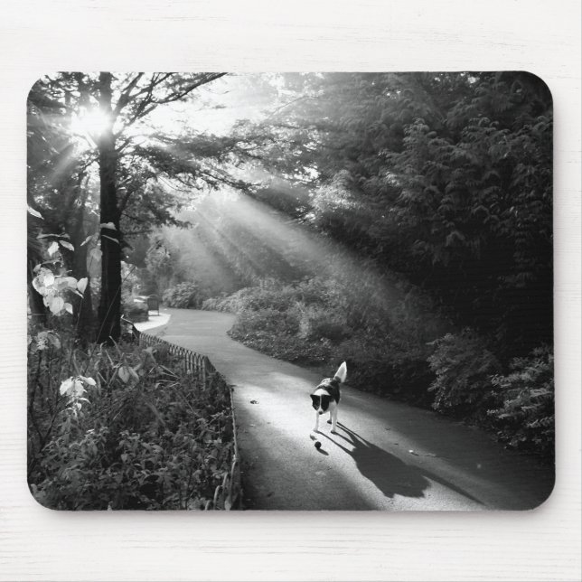 Hund im Morgensonnenlicht Mousepad (Vorne)