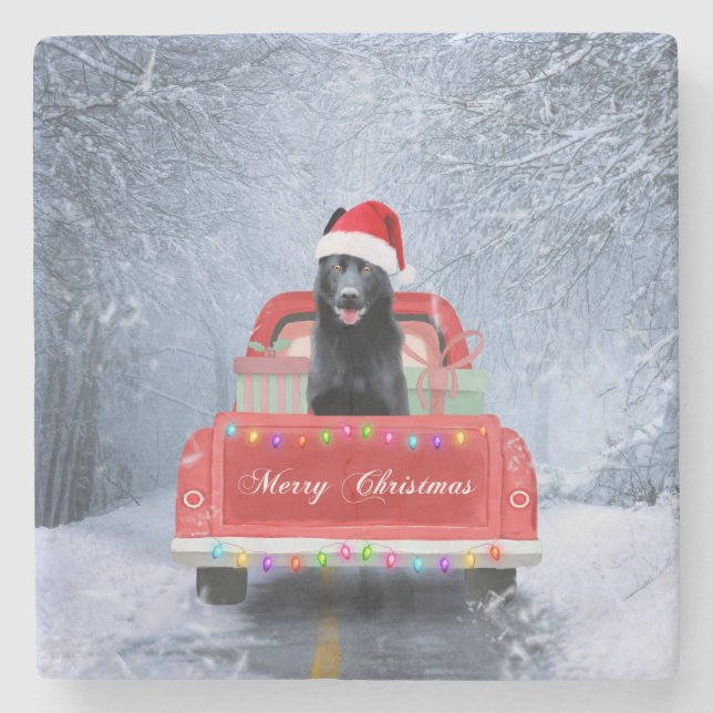 Hund im Schnee, der in Weihnachten sitzt Steinuntersetzer (Vorderseite)