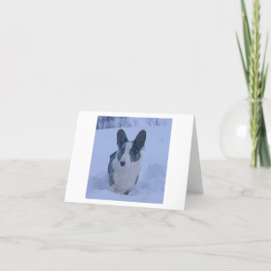 Hund im SchneeFalt-Weihnachtskarte Feiertagskarte