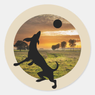 Hund im Spiel Runder Aufkleber