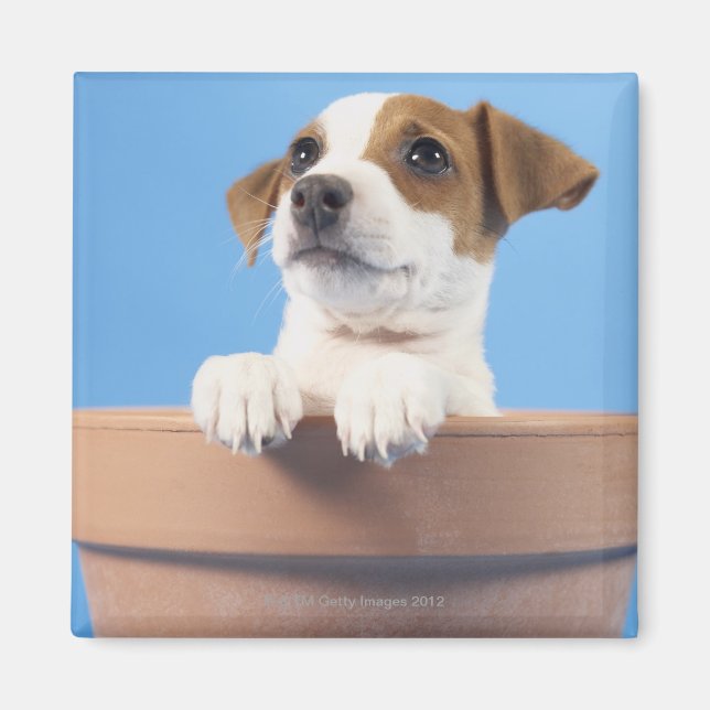 Hund in Blumentopf Magnet (Vorne)