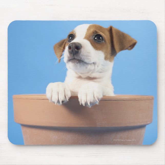 Hund in Blumentopf Mousepad (Vorne)
