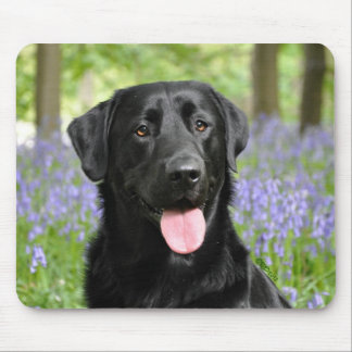 Hund in den Bluebells Mousepad