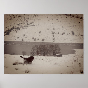 Hund in der Schneewertkarton Poster